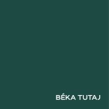 DULUX 2,5L BÉKA TUTAJ