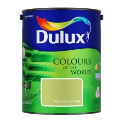 DULUX 5L REJTŐZŐ LEGUÁN