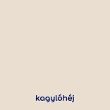DULUX EASYCARE 5L KAGYLÓHÉJ