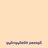 DULUX EASYCARE 2,5L GYÖNGYÖZŐ PEZSGŐ